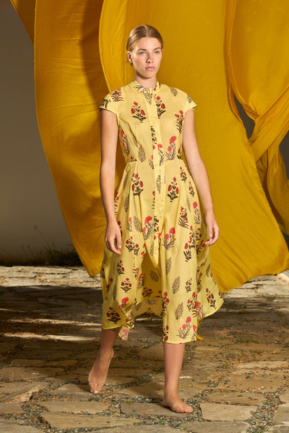 Aliza Dress